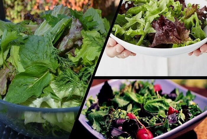 Mesclun Salad Recipe - Easy Green Salad Recipe